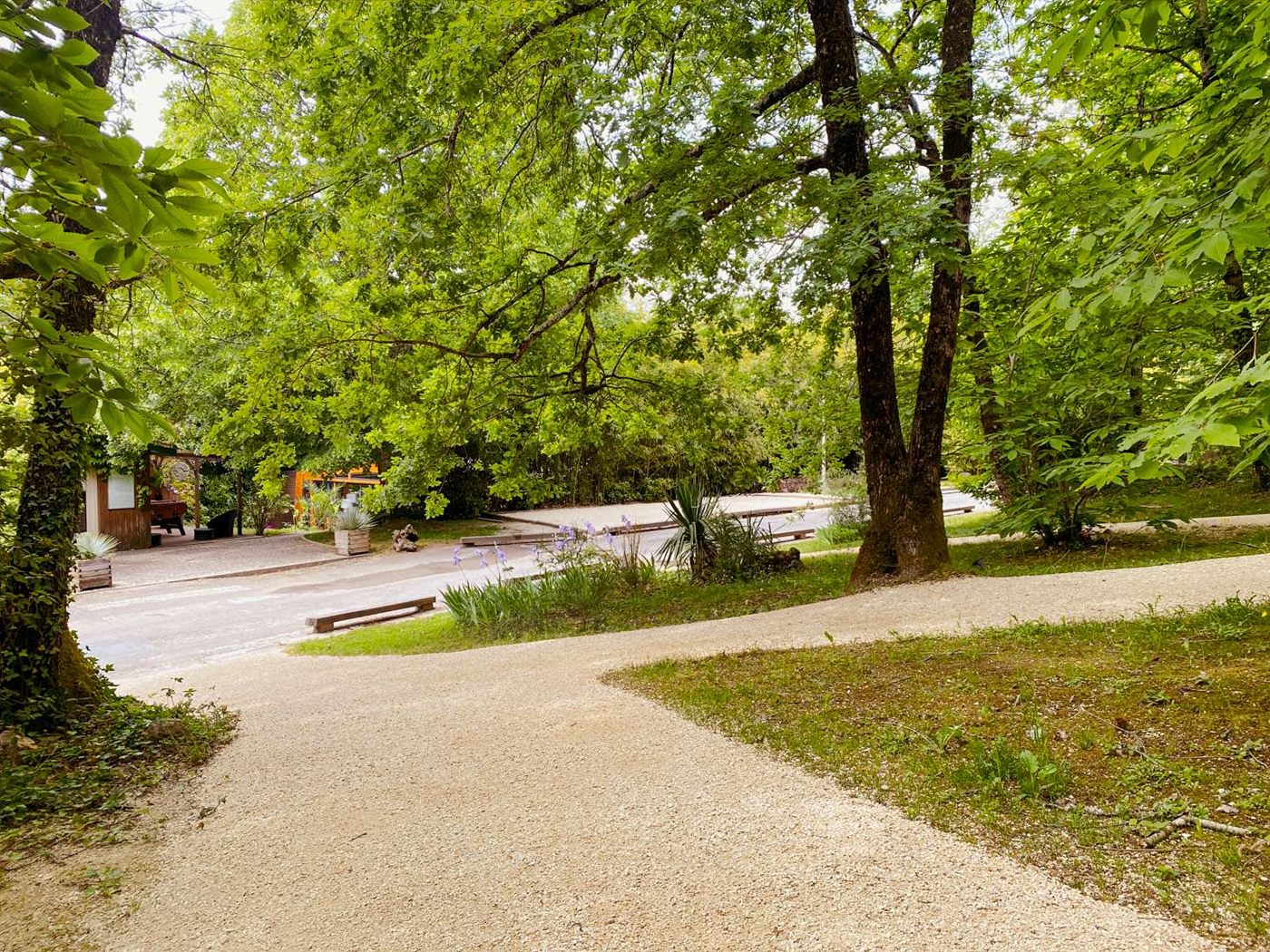 Une allée ombragée sous les chênes du domaine