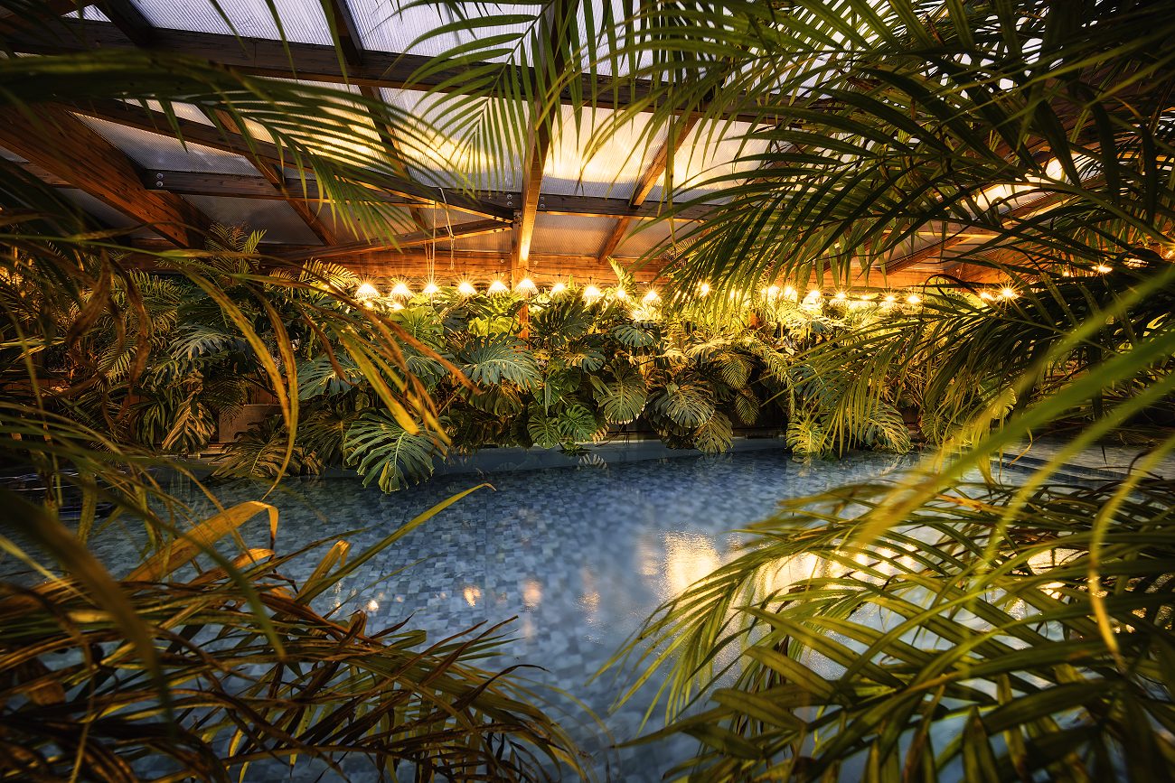 Le bassin de la piscine tropicale sous la charpente en bois, entre palmiers et guirlandes lumineuses