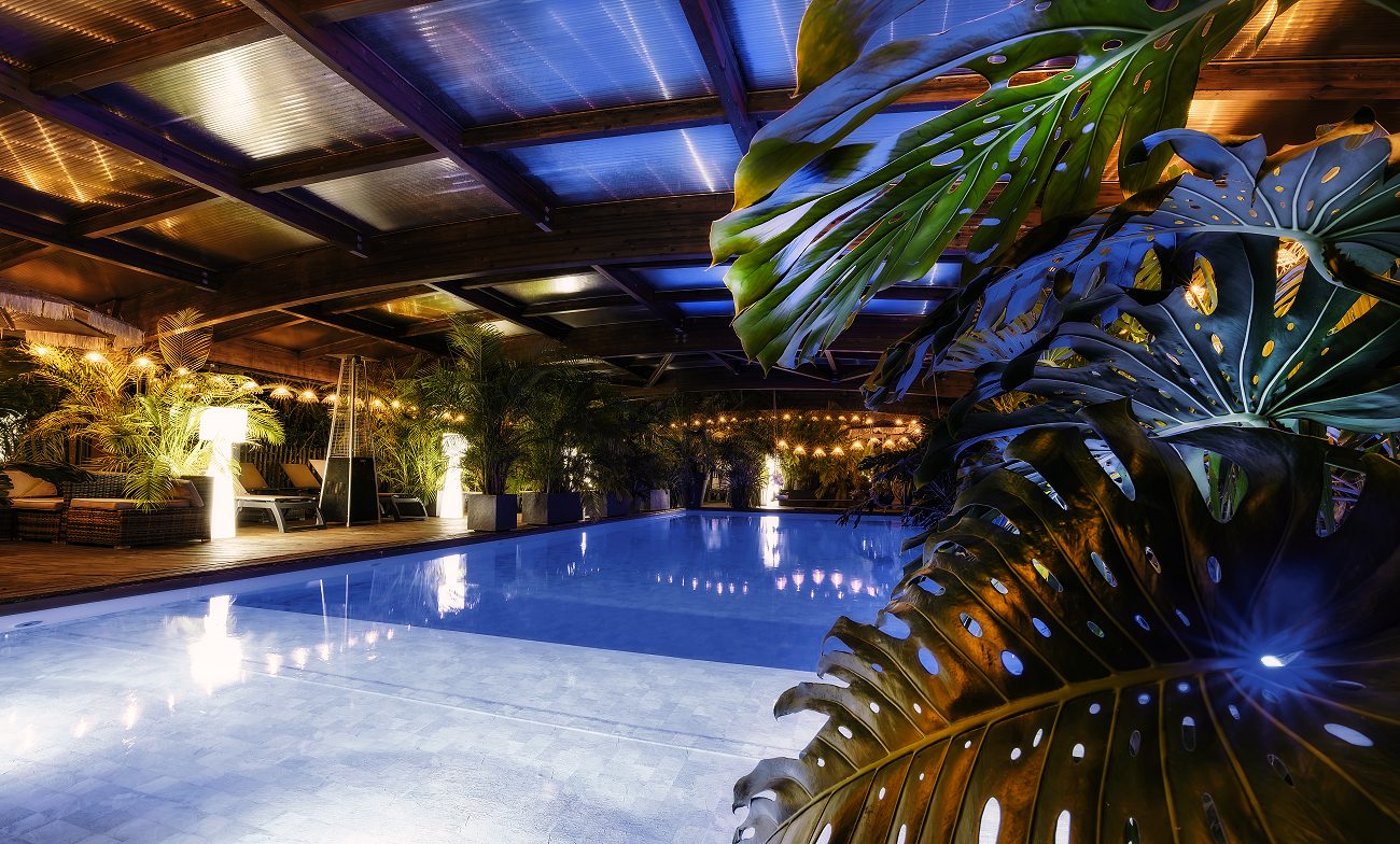 Le bassin de la piscine tropicale derrière les feuilles de monstera